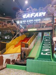 -卡通尼·Safari非洲探索乐园·生日会(金桥国际商业广场店)