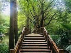 -同里国家湿地公园