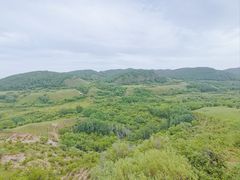 -塞罕坝国家级自然保护区