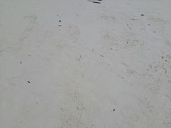 -白沙滩