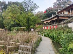 -塔川景区