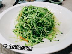 -星龙海鲜(望江东路店)