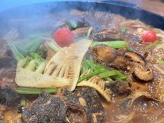 -老板恋上鱼(恒隆广场店)