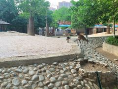 -郑州市动物园