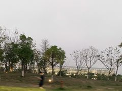 -厦门高崎国际机场-T3航站楼