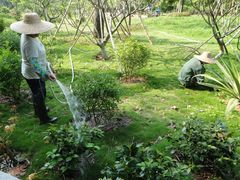 DSC08281-湖光岩风景区