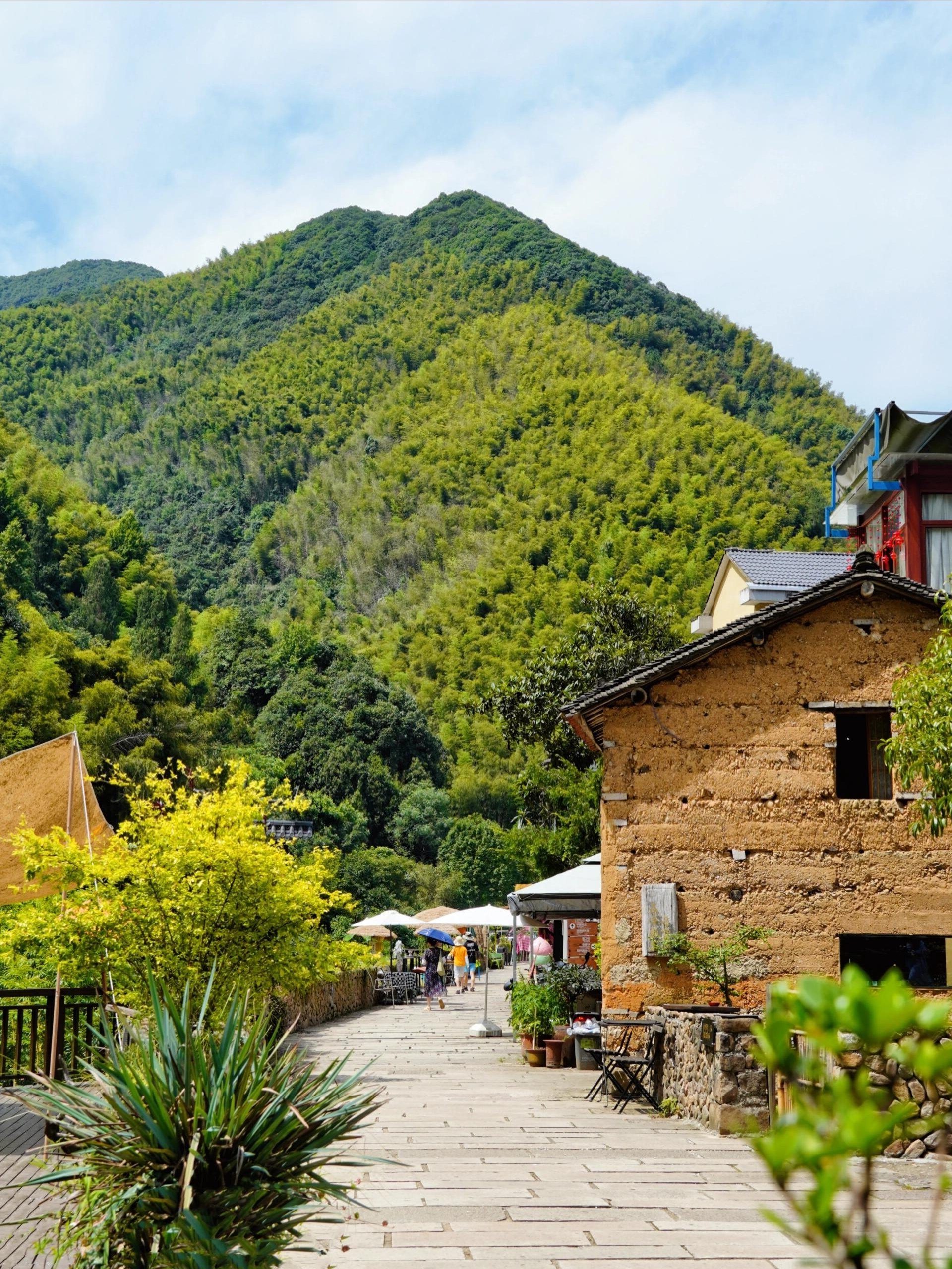 🏞️发现隐秘仙境!浙江桐庐石舍村