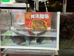 -山野的朋友露营炭火烤肉