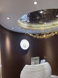 -MUSES专业脱毛比基尼サロン日式连锁