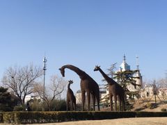 -莲花池公园