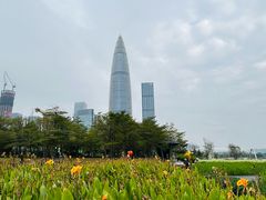 -深圳人才公园
