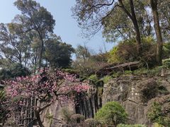 -南山植物园