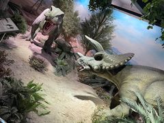 -国家自然博物馆