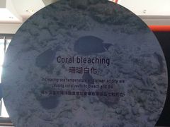 -香港海事博物馆