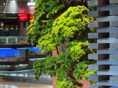 -阿伟海鲜楼·福建菜(延寿店)