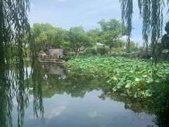 -无锡蠡湖国家湿地公园-蠡园