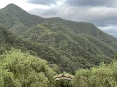 -牛背梁国家森林公园