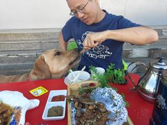 -沽源味道蒙餐莜面家常菜