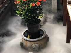 -三只耳火锅(宽窄巷子店)