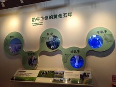 -君乐宝优致牧场