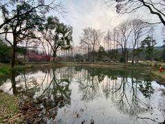 -杭州植物园