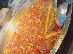 -二荆条·城市森林火锅旗舰店