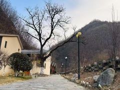 -牛背梁国家森林公园