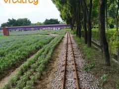 -广东花都香草世界旅游度假区