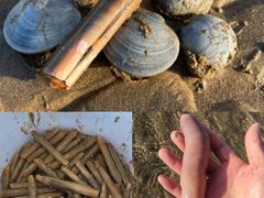 -巧克力渔家.小船海鲜胶东菜(万平口店)