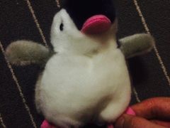 -PAWTOY爪e玩偶店(天兴罗斯福店)