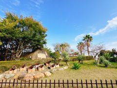-胡里山炮台