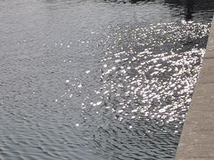 -天津东丽湖风景区