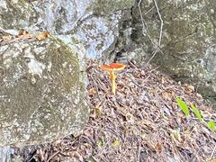 -九鼎铁刹山风景区