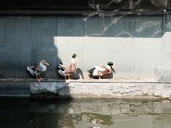 -浙江省博物馆(孤山馆区)