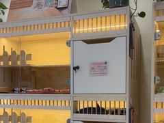 -柚子猫舍·精品猫舍购猫·猫咪认养·购宠·宠物店