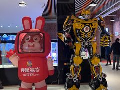 -华美国际影城(旧宫永辉店)