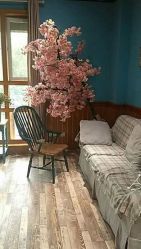 点击看大图 -星豆豆儿童摄影(南郊太白南路店)