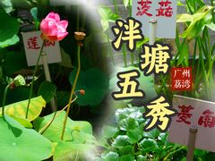 -荔湾湖公园