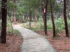 -铁山坪森林公园