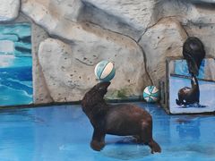 -泉州海丝野生动物世界