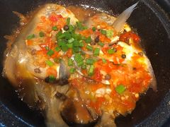 -海食焗(新光天地店)