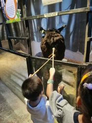 -酷嗒动物文化乐园(cutezoo西溪乐天城店)