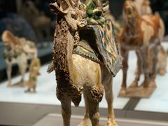 -陕西历史博物馆