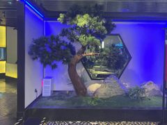 -绿茶餐厅(成都大悦城店)