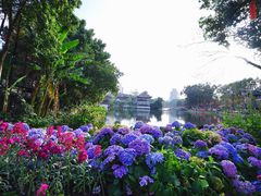-荔湾湖公园