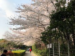 -昆山城市公园