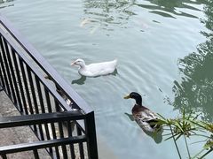 -赤坎·广东华侨国际旅游度假区