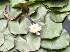 -大连植物园