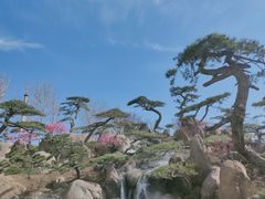 -罗红摄影艺术馆