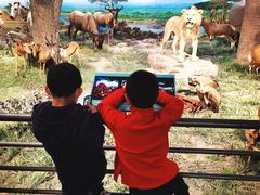 -国家自然博物馆